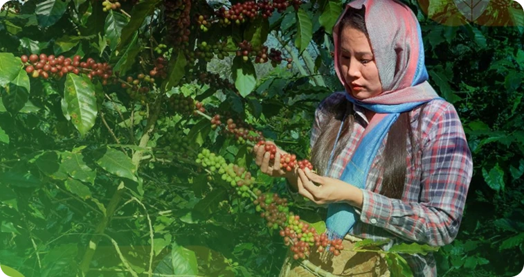 Arga Bumi Indonesia