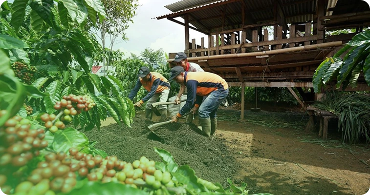 Arga Bumi Indonesia